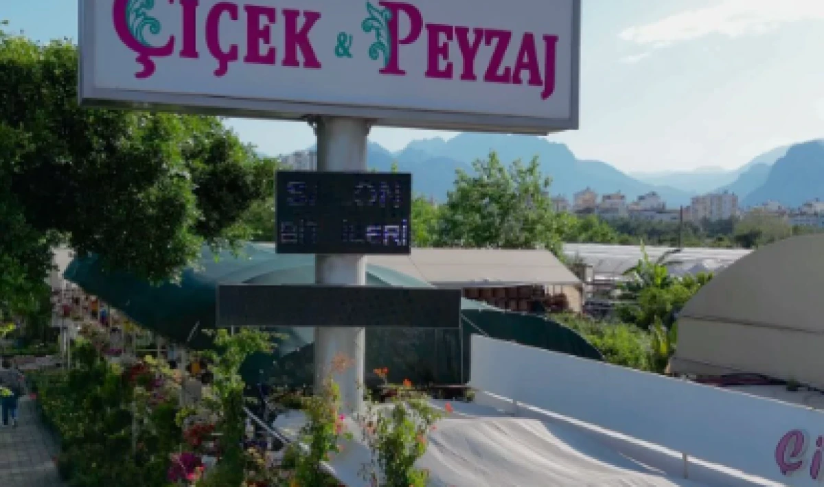 Antalya’da Çiçeğin Adresi: Konyaaltı Çiçek Hem Üretim Hem Satışta Fark Yaratıyor!