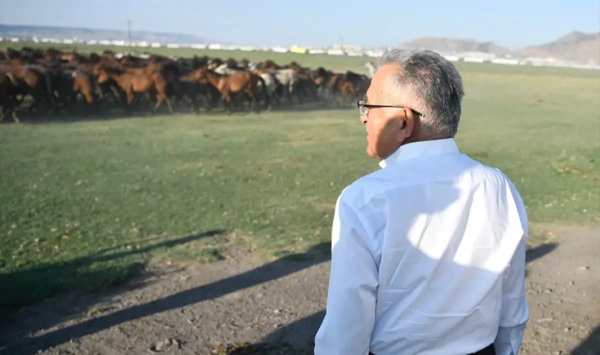 Kayseri’deki Hürmetçi Sazlığı: Ekoturizm İçin Doğanın Daveti