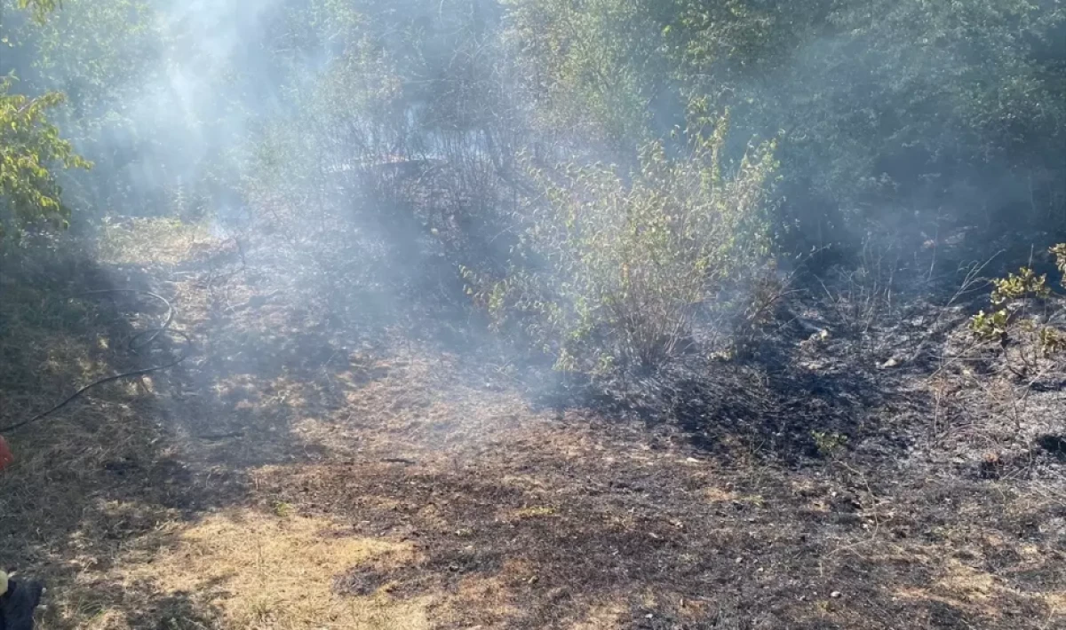Kırklareli Demirköy’deki Orman Yangınına Hızlı Müdahale